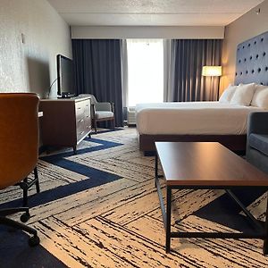 One-Bedroom Executive King Suite Sofa Bed City View